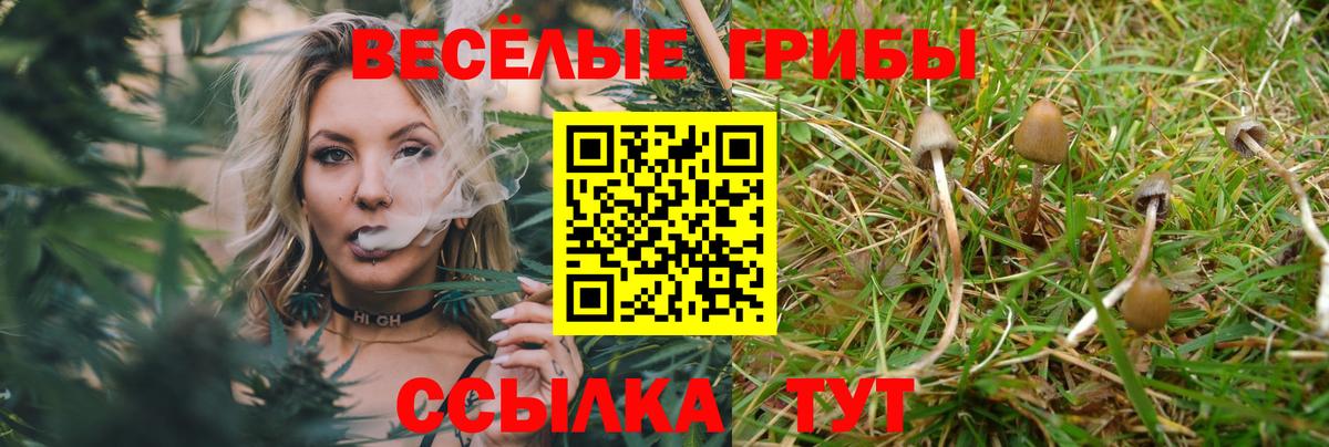 Псилоцибиновые грибы Psilocybe  Вход с VPN  Белово 