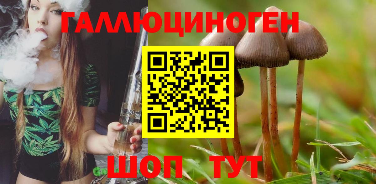 Псилоцибиновые грибы Cubensis Белово